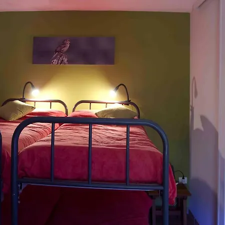 De Bolico ブエナビスタ・デル・ノルテ