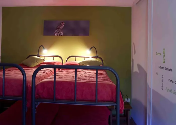 De Bolico Buenavista Del Norte