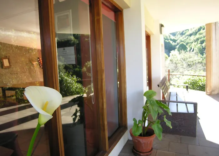 De Bolico Buenavista Del Norte