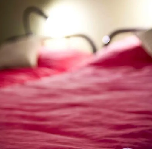 De Bolico Buenavista Del Norte